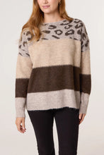 Load image into Gallery viewer, Chocolate Animal Colour Block Knit Jumper
