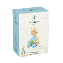 Load image into Gallery viewer, Orange Tree Wooden Peter Rabbit™ Pull Along
