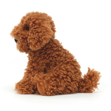 Load image into Gallery viewer, Jellycat Cooper Doodle Dog
