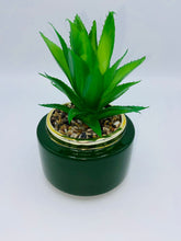 Load image into Gallery viewer, Succulent In Green Pot
