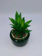 Load image into Gallery viewer, Succulent In Green Pot
